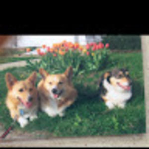 Meet your Posher, Phillip